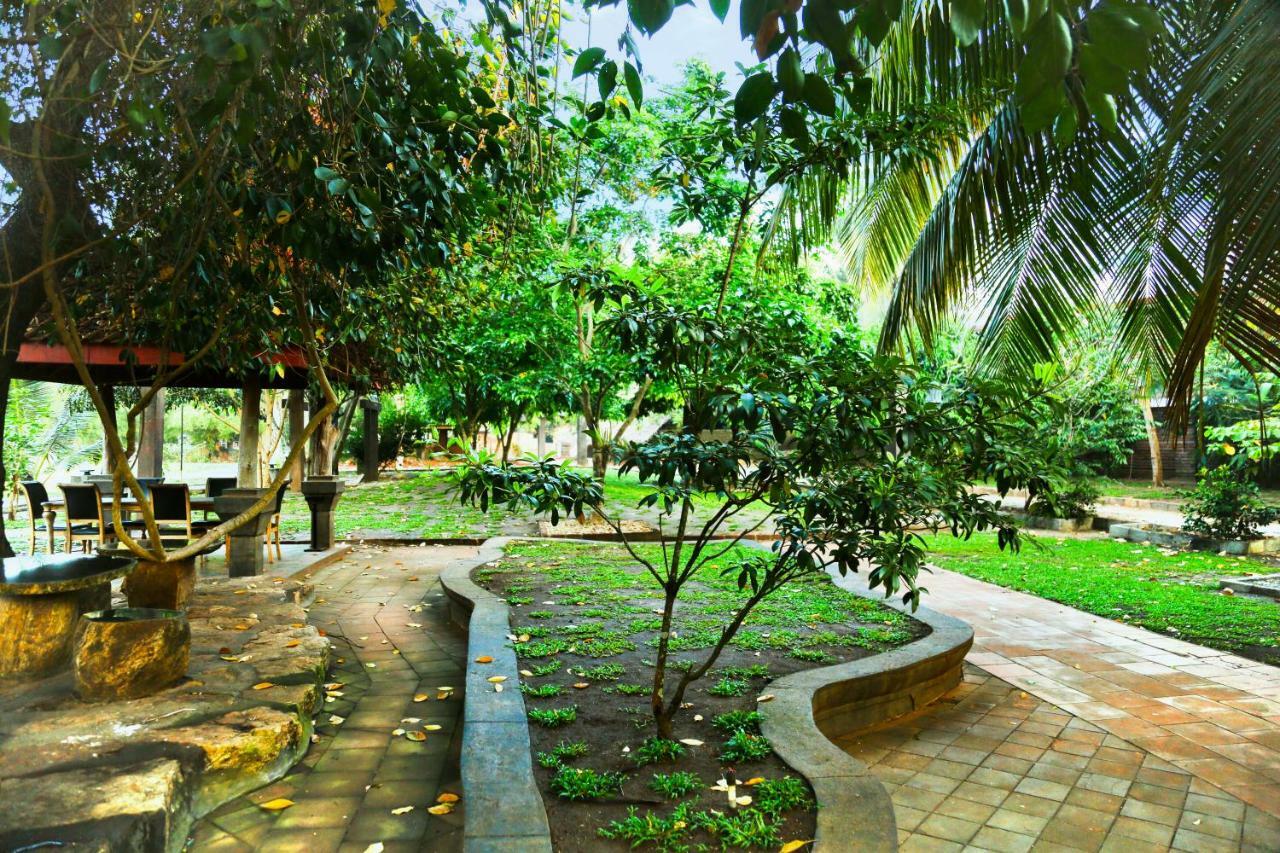 Avasta Resort And Spa Anuradhapura Exteriör bild